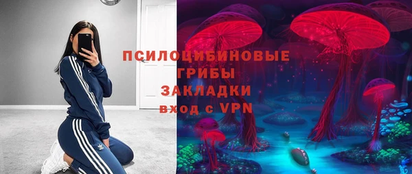 крисы Беломорск