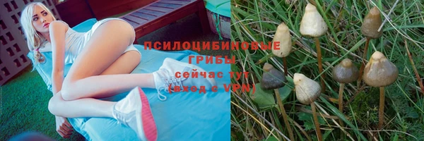 соль ск Белокуриха