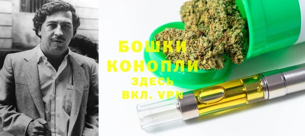 соль ск Белокуриха
