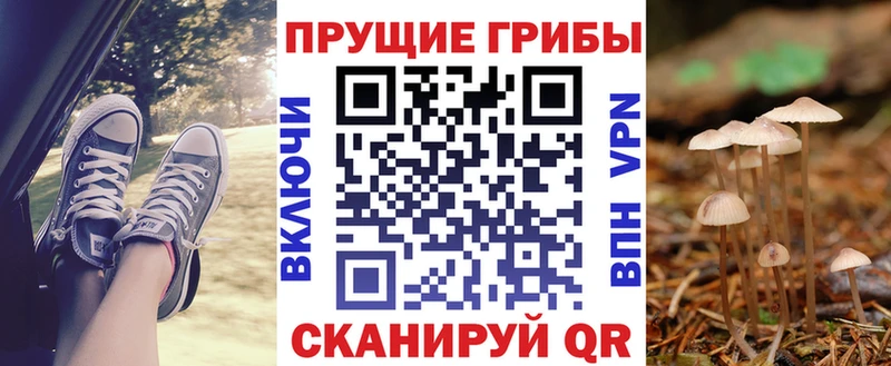 гидра   купить наркотик  Верещагино  Псилоцибиновые грибы Psilocybine cubensis 
