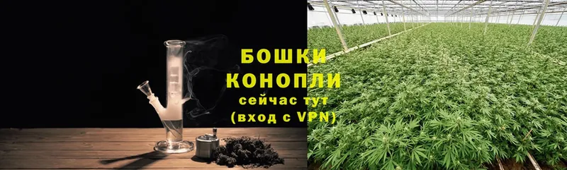 Бошки Шишки White Widow  Верещагино 